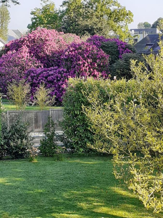 Manoir De L'As De Trefle Bed & Breakfast Isneauville Екстериор снимка